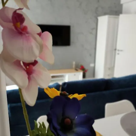 Aparthotel Velier View